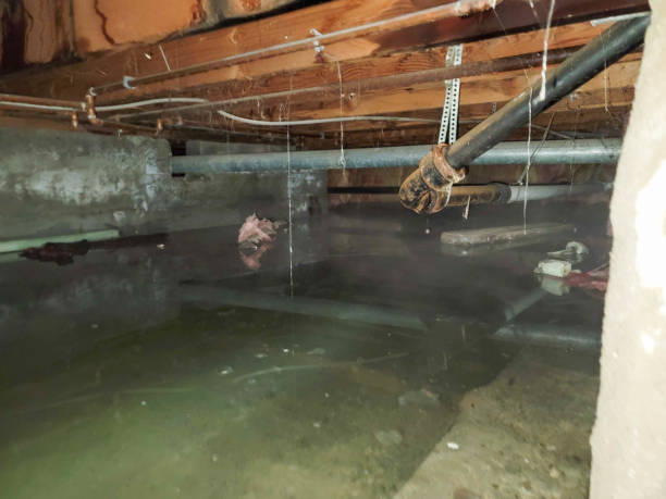 Best Professional water damage repair  in Kamas, UT