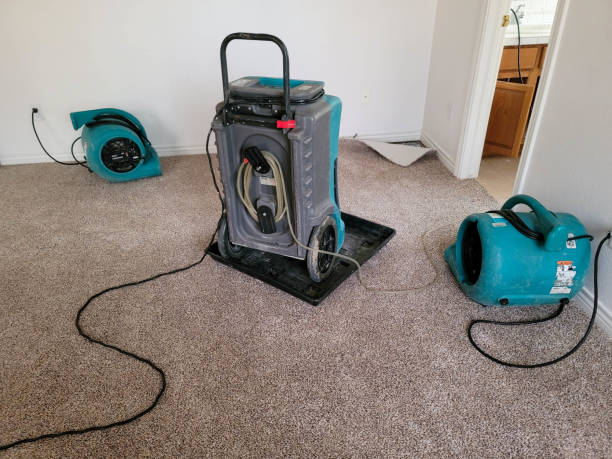 , UT Water damage restoration Company