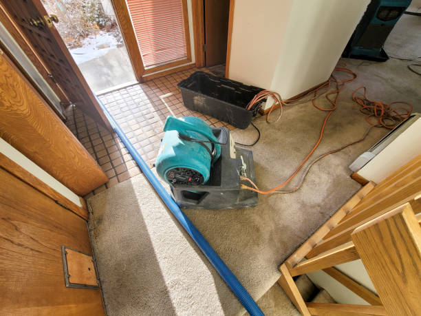 Best Professional water damage repair  in Kamas, UT