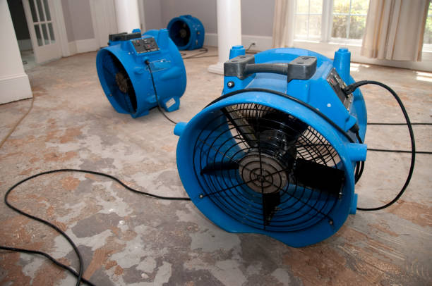 Best Commercial water damage restoration  in Kamas, UT