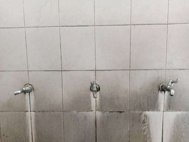 Best Mold removal after water damage  in Kamas, UT
