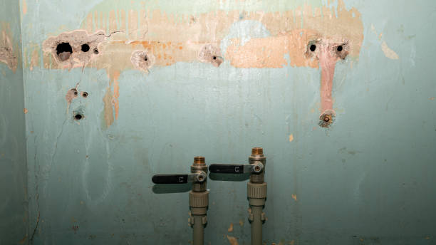 Best Water damage cleanup near me  in Kamas, UT